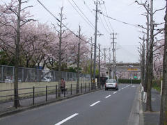 城野駅での乗り換えの道筋…