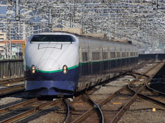 なかなか姿を見なくなってきました…高崎駅にて