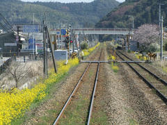 左が筑肥線、右が唐津線の線路で、本牟田部駅は唐津線（写真右奥の駅）にだけ存在します