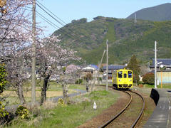 桃川駅に進入する、伊万里駅行きディーゼルカー