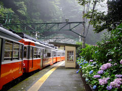 山間の小さな駅です…塔ノ沢駅