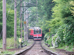 箱根登山鉄道では珍しい、直線区間