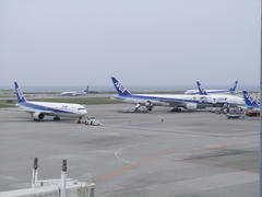 全日空ばかりの空港エプロン内