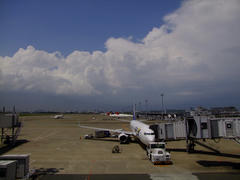 正に、夏の雲！…という感じの羽田空港