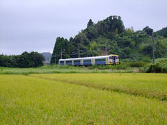 喉かな田園風景を走ります