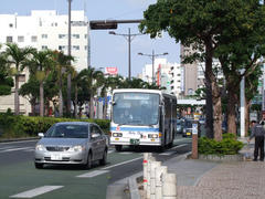 ホテル前の、松山付近にてです