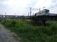 楠橋駅の南側で、新幹線と交差します