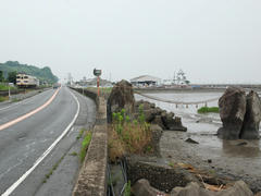 海沿いを走ります