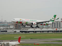 キティちゃんの塗装が施されたエバー航空