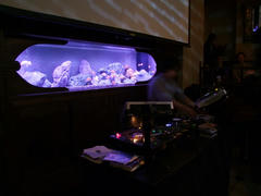 ＤＪブースは水槽の前で…