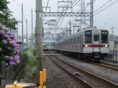 この区間で日中によく見掛けるのは快速です