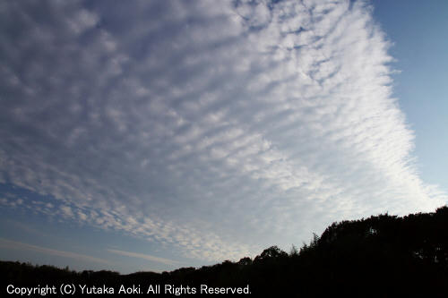 高積雲