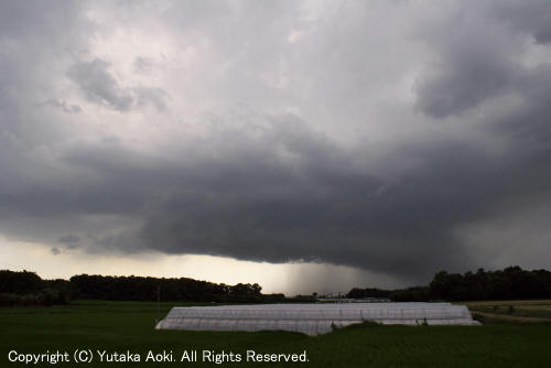 wallcloud