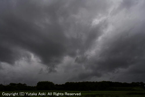 アーチ雲先端の渦