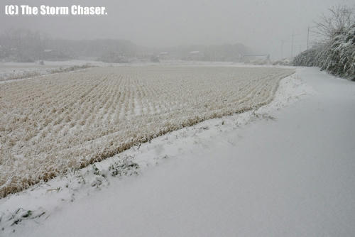 降雪