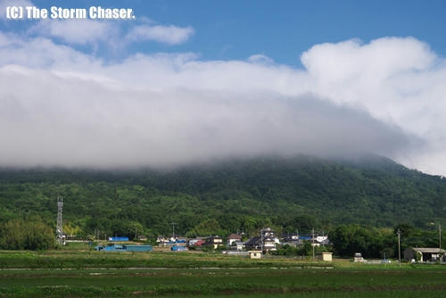 山かつら