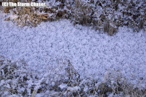 初雪