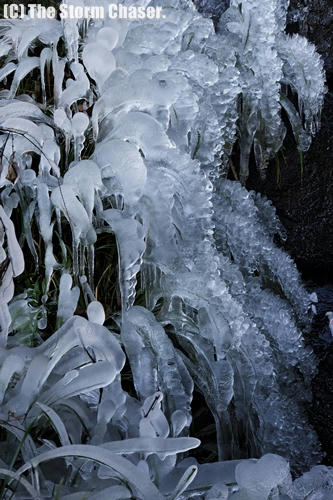氷花