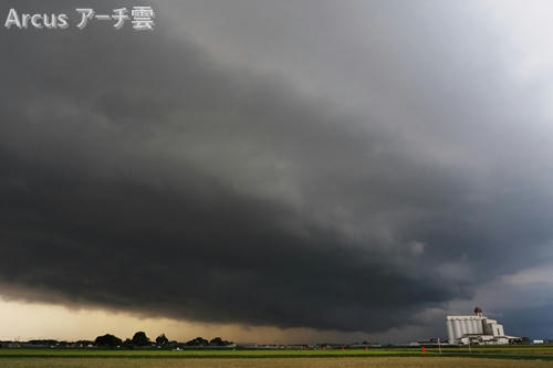 Arcus