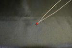 DSC02041m.jpg