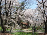 DSC01166.JPG