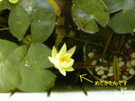aa03355b.jpg