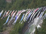 tama-touring-10.jpg