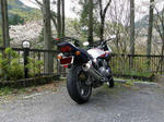 tama-touring-18.jpg