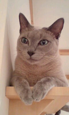 PA0_0574.JPG