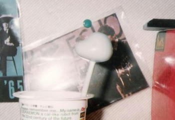 20090217_kureshin1.jpg