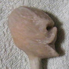 20091201_kita2.jpg