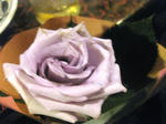 IMG_8533.JPG