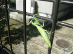 IMG_8544.JPG