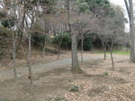 resize1941.jpg