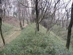 resize1943.jpg