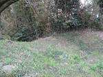 resize1963.jpg