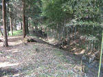 resize2407.jpg
