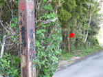 resize2535_1.jpg