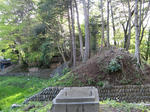 resize2543.jpg