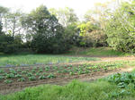 resize2564.jpg