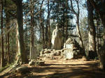 DSCF0040.JPG