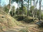 DSCF0046.JPG