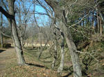 DSCF0051.JPG