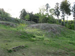 resize2604.jpg