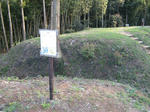 resize2608.jpg