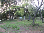 resize2630.jpg
