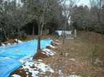 resize2818.jpg