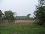 resize2002.jpg