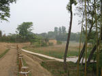 resize2006.jpg