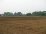 resize2011.jpg